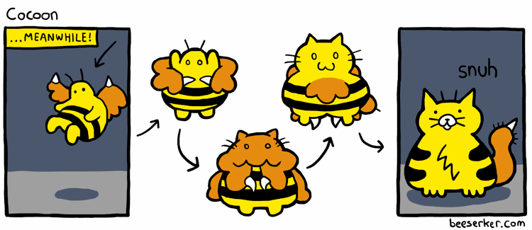 What? SNUHBEE is evolving!